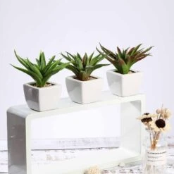 3 Pack Ceramic Planter Pot And Artificial Spot Aloe Succulent Plant 5" 21 3 Pack Ceramic Planter Pot And Artificial Spot Aloe Succulent Plant 5" -Home Decor Promotional Store ARTI SUC PT005 ASST D01