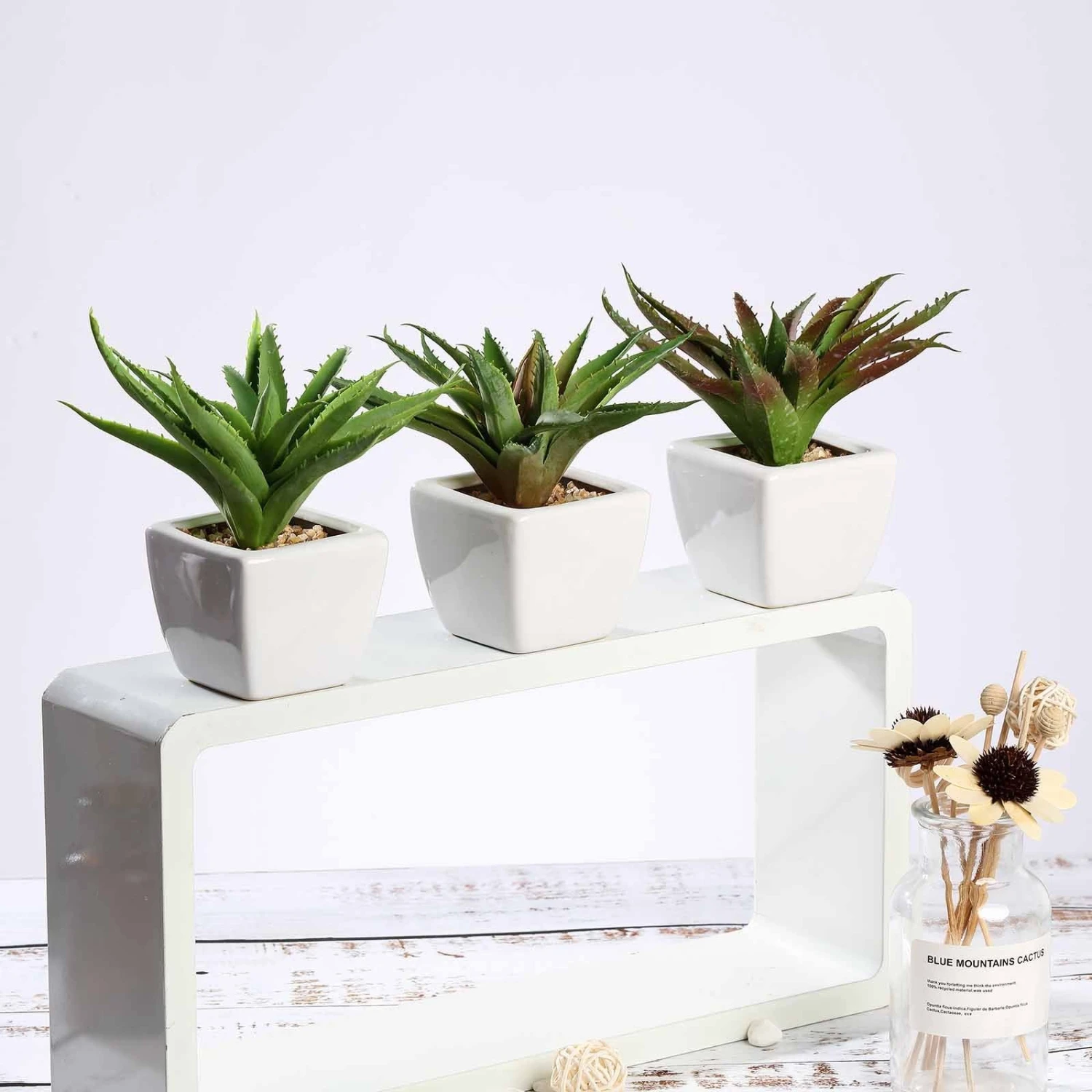 3 Pack Ceramic Planter Pot And Artificial Spot Aloe Succulent Plant 5" 6 3 Pack Ceramic Planter Pot And Artificial Spot Aloe Succulent Plant 5" - Image 6