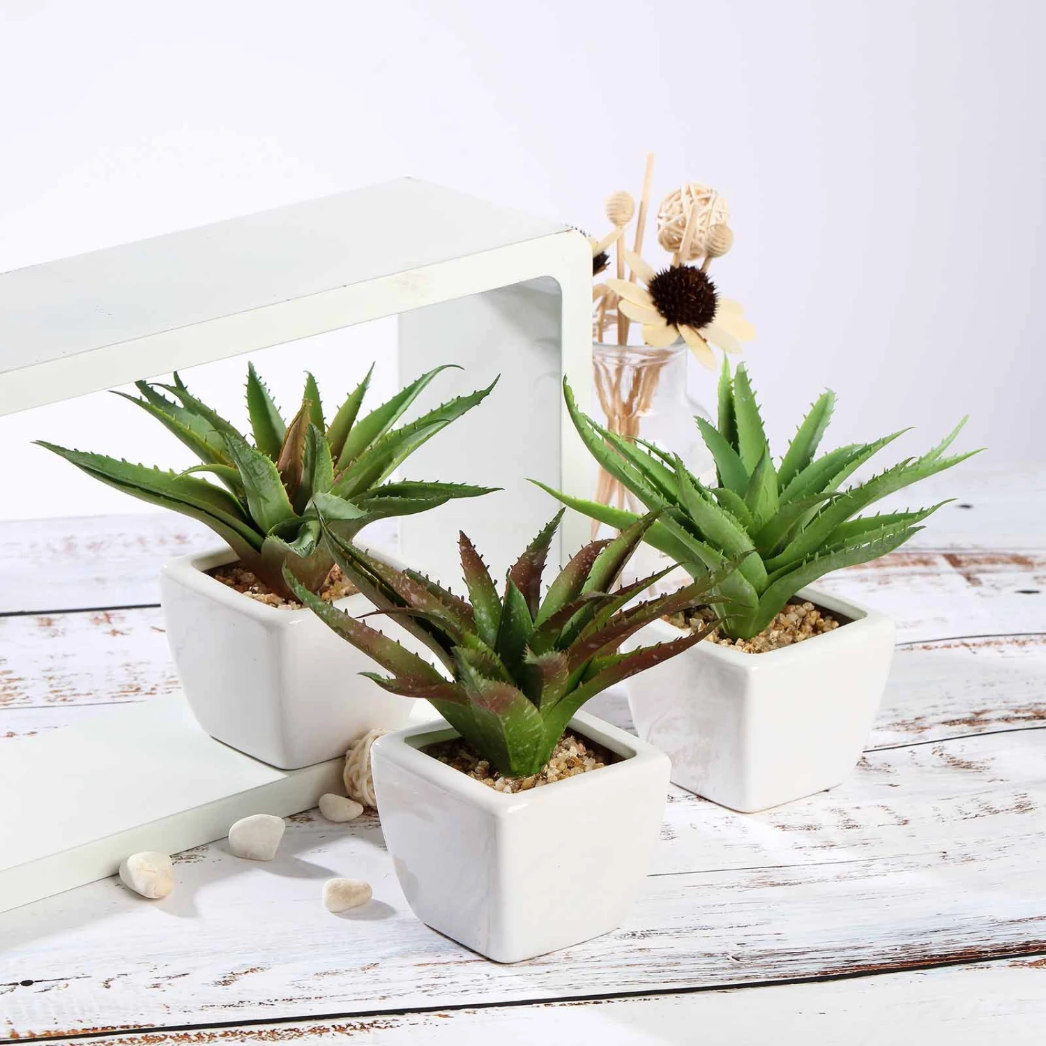 3 Pack Ceramic Planter Pot And Artificial Spot Aloe Succulent Plant 5" 7 3 Pack Ceramic Planter Pot And Artificial Spot Aloe Succulent Plant 5" - Image 7