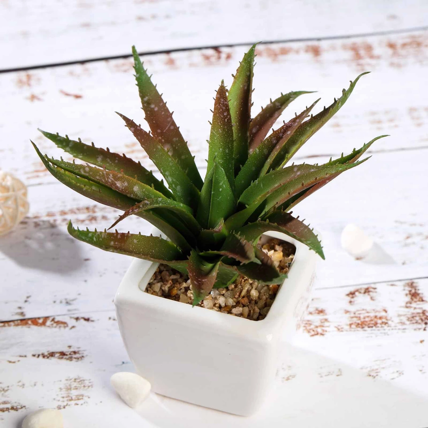 3 Pack Ceramic Planter Pot And Artificial Spot Aloe Succulent Plant 5" 8 3 Pack Ceramic Planter Pot And Artificial Spot Aloe Succulent Plant 5" - Image 8