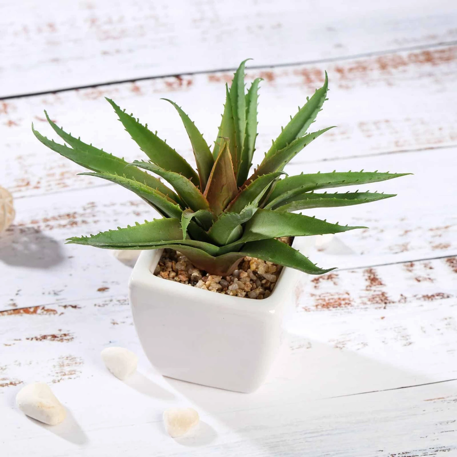 3 Pack Ceramic Planter Pot And Artificial Spot Aloe Succulent Plant 5" 9 3 Pack Ceramic Planter Pot And Artificial Spot Aloe Succulent Plant 5" - Image 9