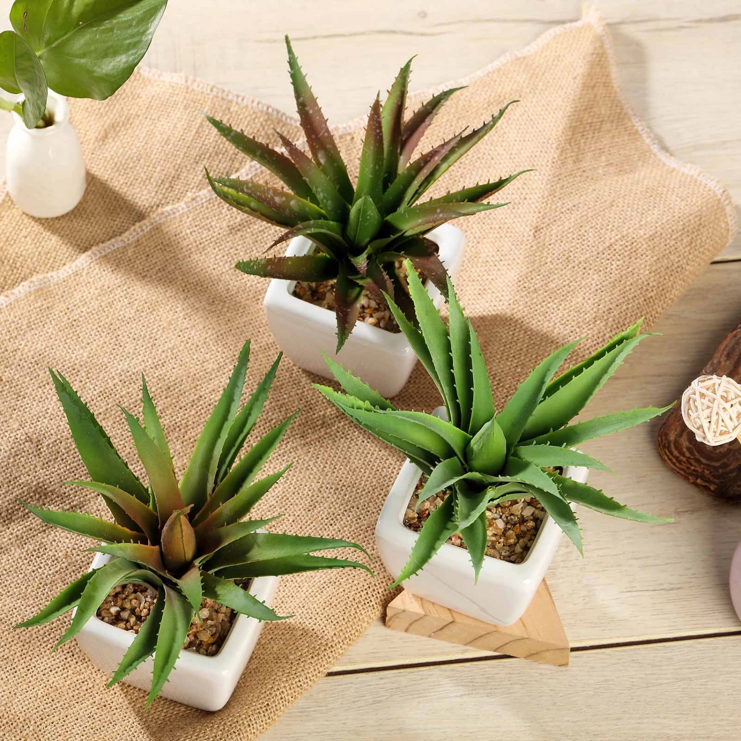 3 Pack Ceramic Planter Pot And Artificial Spot Aloe Succulent Plant 5" 12 3 Pack Ceramic Planter Pot And Artificial Spot Aloe Succulent Plant 5" - Image 12