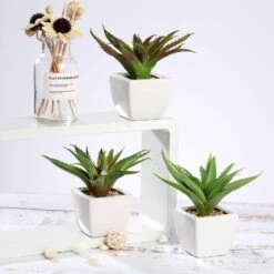 3 Pack Ceramic Planter Pot And Artificial Spot Aloe Succulent Plant 5" 19 3 Pack Ceramic Planter Pot And Artificial Spot Aloe Succulent Plant 5" -Home Decor Promotional Store ARTI SUC PT005 ASST 02
