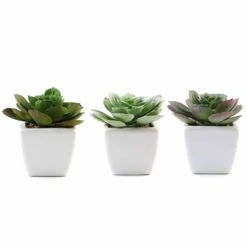 3 Pack Ceramic Planter Pot And Artificial Echeveria Succulent Plant 4" -Home Decor Promotional Store ARTI SUC PT007 ASST 99