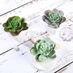 3 Pack Ceramic Planter Pot And Artificial Echeveria Succulent Plant 4" -Home Decor Promotional Store ARTI SUC PT007 ASST D03