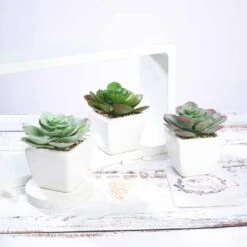 3 Pack Ceramic Planter Pot And Artificial Echeveria Succulent Plant 4" -Home Decor Promotional Store ARTI SUC PT007 ASST D04