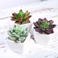 3 Pack Ceramic Planter Pot And Artificial Echeveria Elegans Plants 4" -Home Decor Promotional Store ARTI SUC PT009 ASST D04.progressive 7f977926 e71f 4620 85a3 a328298ebaac