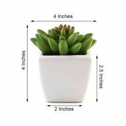 3 Pack Ceramic Planter Pot And Artificial Lotus Succulent Plants 4" -Home Decor Promotional Store ARTI SUC PT010 ASST 98.progressive 4f599c9e d4ca 4666 ab1d e6e7499a1771