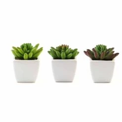 3 Pack Ceramic Planter Pot And Artificial Lotus Succulent Plants 4" -Home Decor Promotional Store ARTI SUC PT010 ASST 99