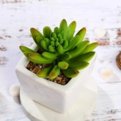 3 Pack Ceramic Planter Pot And Artificial Lotus Succulent Plants 4" -Home Decor Promotional Store ARTI SUC PT010 ASST D01