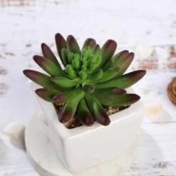 3 Pack Ceramic Planter Pot And Artificial Lotus Succulent Plants 4" -Home Decor Promotional Store ARTI SUC PT010 ASST D03