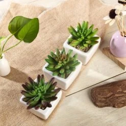 3 Pack Ceramic Planter Pot And Artificial Lotus Succulent Plants 4" -Home Decor Promotional Store ARTI SUC PT010 ASST D09 ff66a2e6 73df 48bc 9902 00e40de15b3b