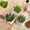 3 Pack Ceramic Planter Pot And Artificial Lotus Succulent Plants 4"