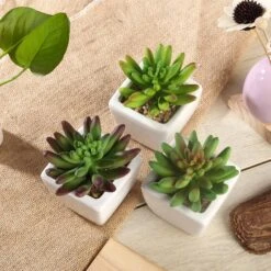 3 Pack Ceramic Planter Pot And Artificial Lotus Succulent Plants 4"