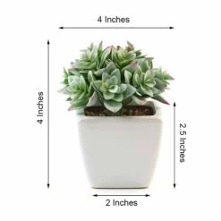 3 Pack Ceramic Planter Pot & Green Artificial Echeveria Plants 4" -Home Decor Promotional Store ARTI SUC PT013 ASST 98.progressive e5cb1024 6f91 4d70 9223 c184ec1319ee
