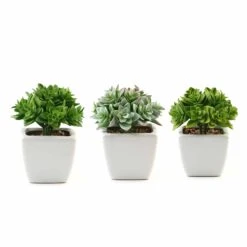 3 Pack Ceramic Planter Pot & Green Artificial Echeveria Plants 4" -Home Decor Promotional Store ARTI SUC PT013 ASST 99