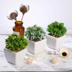 3 Pack Ceramic Planter Pot & Green Artificial Echeveria Plants 4" -Home Decor Promotional Store ARTI SUC PT013 ASST D03