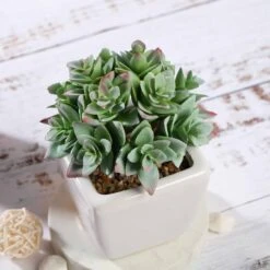 3 Pack Ceramic Planter Pot & Green Artificial Echeveria Plants 4" -Home Decor Promotional Store ARTI SUC PT013 ASST D05