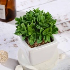 3 Pack Ceramic Planter Pot & Green Artificial Echeveria Plants 4" -Home Decor Promotional Store ARTI SUC PT013 ASST D06