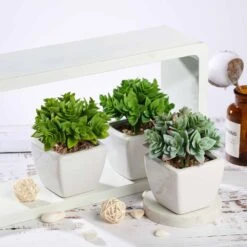 3 Pack Ceramic Planter Pot & Green Artificial Echeveria Plants 4" -Home Decor Promotional Store ARTI SUC PT013 ASST 02