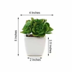 3 Pack Ceramic Planter Pot And Artificial Echeveria Elegans Plants 5" -Home Decor Promotional Store ARTI SUC PT014 ASST 98.progressive 2688c8ad 95fe 4ca2 999b 74cb7dfbf6cc