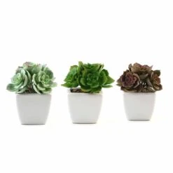3 Pack Ceramic Planter Pot And Artificial Echeveria Elegans Plants 5" -Home Decor Promotional Store ARTI SUC PT014 ASST 99