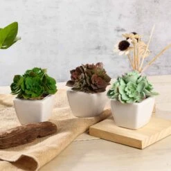 3 Pack Ceramic Planter Pot And Artificial Echeveria Elegans Plants 5" -Home Decor Promotional Store ARTI SUC PT014 ASST D09