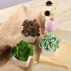 3 Pack Ceramic Planter Pot And Artificial Echeveria Elegans Plants 5"