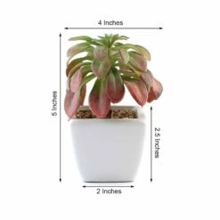 3 Pack Ceramic Planter Pot And Artificial Elegans Succulent Plants 5" -Home Decor Promotional Store ARTI SUC PT016 ASST 98.progressive d20c9398 7aea 457c 8dfc d6f497af167a