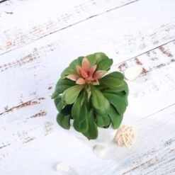 3 Pack Ceramic Planter Pot And Artificial Elegans Succulent Plants 5" -Home Decor Promotional Store ARTI SUC PT016 ASST D06