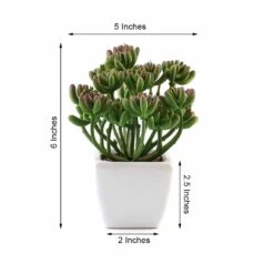3 Pack Ceramic Planter Pot & Artificial Stonecrop Succulent Plant 7" -Home Decor Promotional Store ARTI SUC PT017 ASST 98.progressive aebf19b0 fe82 4003 a337 cbfe36490b7d