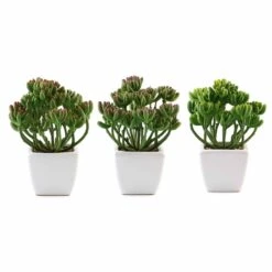 3 Pack Ceramic Planter Pot & Artificial Stonecrop Succulent Plant 7" -Home Decor Promotional Store ARTI SUC PT017 ASST 99