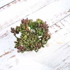 3 Pack Ceramic Planter Pot & Artificial Stonecrop Succulent Plant 7" -Home Decor Promotional Store ARTI SUC PT017 ASST D06