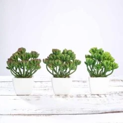 3 Pack Ceramic Planter Pot & Artificial Stonecrop Succulent Plant 7" -Home Decor Promotional Store ARTI SUC PT017 ASST 02