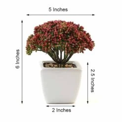 3 Pack Ceramic Planter Pot & Artificial Joy Sedum Succulent Plant 6" -Home Decor Promotional Store ARTI SUC PT019 ASST 98.progressive 65c8b79f 0db8 4c95 9e40 291bea7b8e22