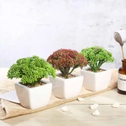 3 Pack Ceramic Planter Pot & Artificial Joy Sedum Succulent Plant 6"