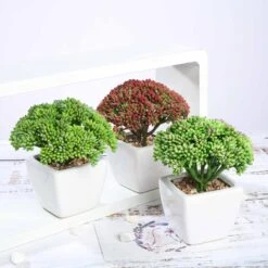 3 Pack Ceramic Planter Pot & Artificial Joy Sedum Succulent Plant 6" -Home Decor Promotional Store ARTI SUC PT019 ASST 02
