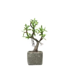 Concrete Planter Pot And Artificial Willow Tree Succulent Plant 9" 21 Concrete Planter Pot And Artificial Willow Tree Succulent Plant 9" -Home Decor Promotional Store ARTI SUC TR002 ASST D010