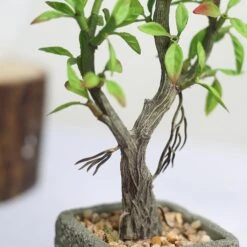 Concrete Planter Pot And Artificial Willow Tree Succulent Plant 9" 16 Concrete Planter Pot And Artificial Willow Tree Succulent Plant 9" -Home Decor Promotional Store ARTI SUC TR002 ASST D03