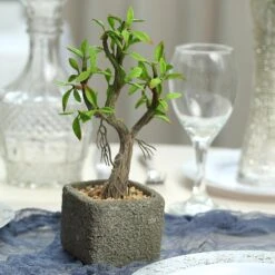 Concrete Planter Pot And Artificial Willow Tree Succulent Plant 9" 19 Concrete Planter Pot And Artificial Willow Tree Succulent Plant 9" -Home Decor Promotional Store ARTI SUC TR002 ASST D07