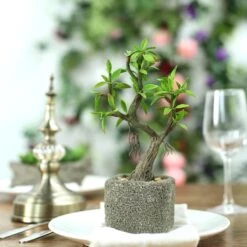 Concrete Planter Pot And Artificial Willow Tree Succulent Plant 9"