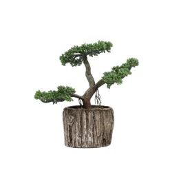 Artificial Tree Stump Planter Pot And Burros Tail Succulent Plant 9" 24 Artificial Tree Stump Planter Pot And Burros Tail Succulent Plant 9" -Home Decor Promotional Store ARTI SUC TR003 ASST D010