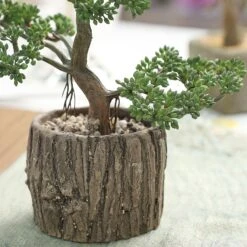 Artificial Tree Stump Planter Pot And Burros Tail Succulent Plant 9" 20 Artificial Tree Stump Planter Pot And Burros Tail Succulent Plant 9" -Home Decor Promotional Store ARTI SUC TR003 ASST D04