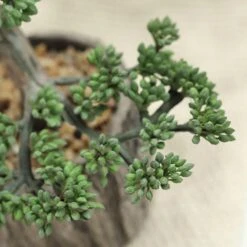 Artificial Tree Stump Planter Pot And Burros Tail Succulent Plant 9" 21 Artificial Tree Stump Planter Pot And Burros Tail Succulent Plant 9" -Home Decor Promotional Store ARTI SUC TR003 ASST D06