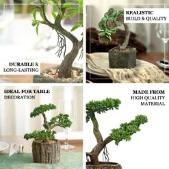 Home Decor Promotional Store -Home Decor Promotional Store ARTI SUC TR003 ASST EBC1