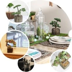 Artificial Tree Stump Planter Pot And Burros Tail Succulent Plant 9" 15 Artificial Tree Stump Planter Pot And Burros Tail Succulent Plant 9" -Home Decor Promotional Store ARTI SUC TR003 ASST EBC2.progressive 5e8ef14a ed75 4a9f 84a8 32d46a176298