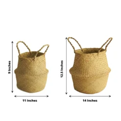 Set Of 2 | Natural Seagrass Plant Baskets, Wicker Hand Woven Straw Planter With Handles -Home Decor Promotional Store BSKT JUTE 001 SET NAT 98