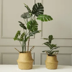 Set Of 2 | Natural Seagrass Plant Baskets, Wicker Hand Woven Straw Planter With Handles