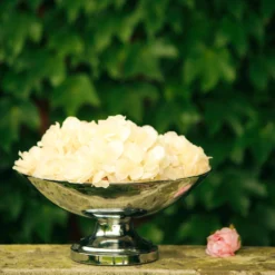 15" Round Metal Pedestal Flower Pot Floating Candle Bowl, Display Dish -Home Decor Promotional Store CHDLR 054 SILV 14 D15.progressive 1d4b74ef 5ec6 4818 bbc8 cd0b7b3e4294