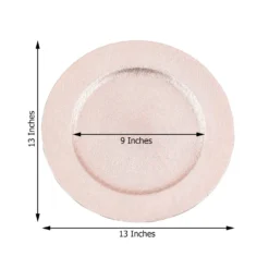 6 Pack Embossed Wood Grain Round Acrylic Charger Plates, Boho Chic Table Decor 13" 21 6 Pack Embossed Wood Grain Round Acrylic Charger Plates, Boho Chic Table Decor 13" -Home Decor Promotional Store CHRG 1303 054 98.progressive 15a6fd0b a512 4c34 8faa d3e2f0fda1d3